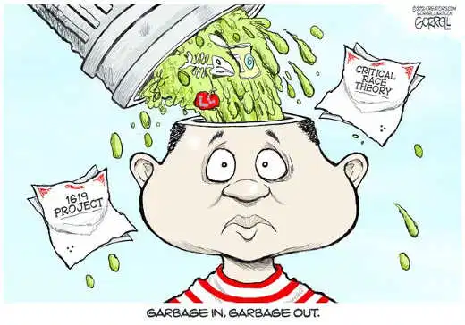 cartoon: critical race thy garbage in garbage out