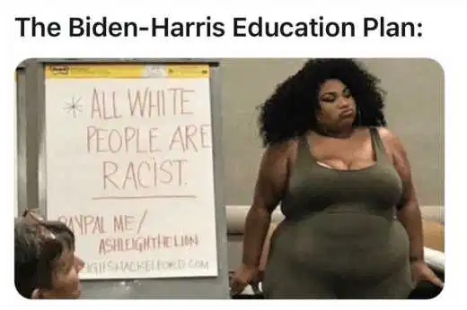 The Biden-Harris education plan (meme)