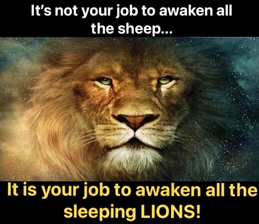 The sheep may sleep, lions awaken