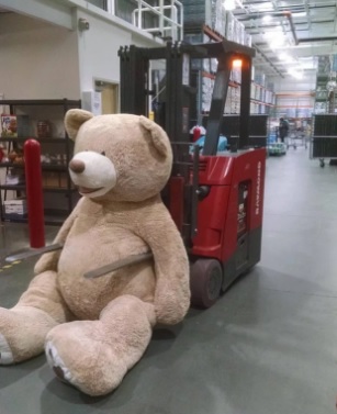 photograph: A fork life operator moves a giant teddy bear in the warehouse