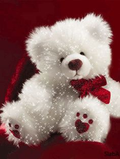 photograph: A white teddy bear on a red velvet background