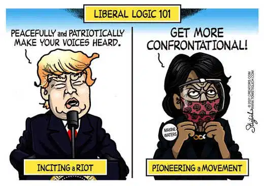 Liberal logic: Maxine Waters and Donald Trump, cartoon