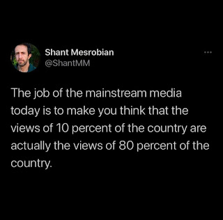 The job of mainstream media today is to make you think that the views of ten percent of the country are actually the views of eighty percent of the country.